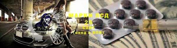 сатива Туринск