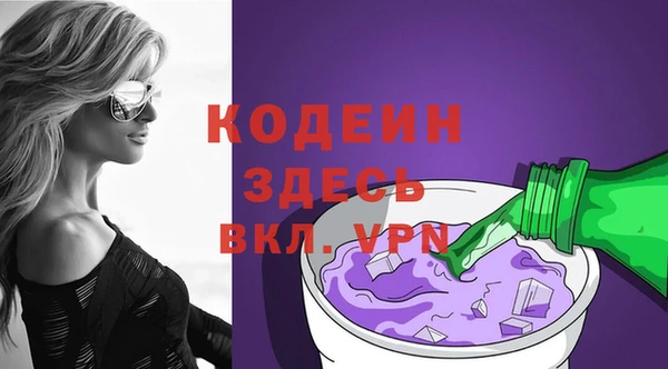сатива Туринск
