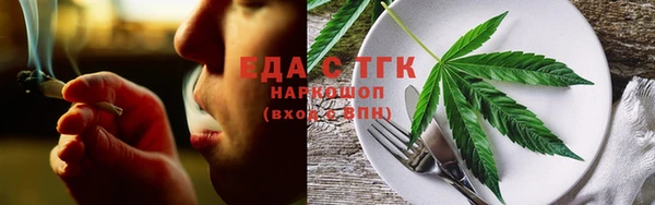 сатива Туринск