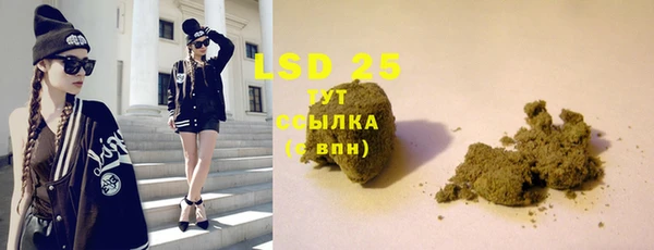 сатива Туринск