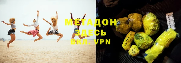 сатива Туринск