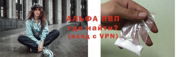 сатива Туринск