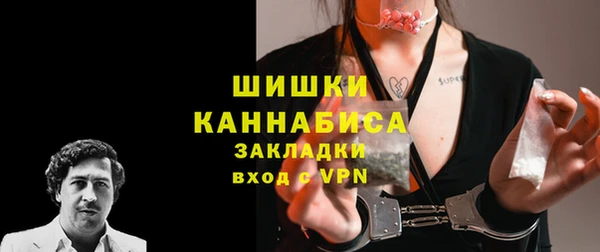 сатива Туринск