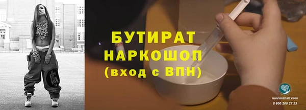 сатива Туринск