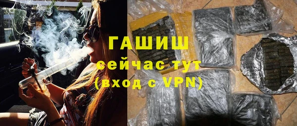 сатива Туринск