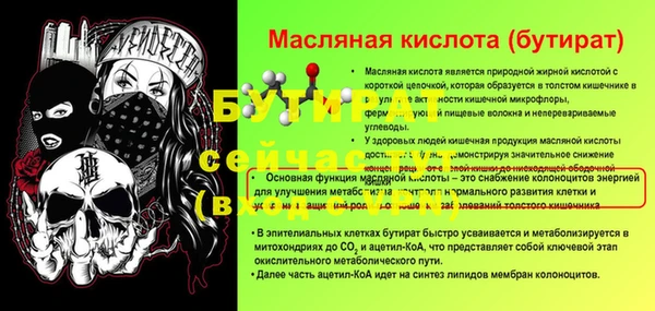 сатива Туринск