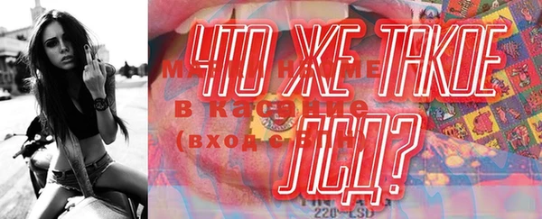 сатива Туринск