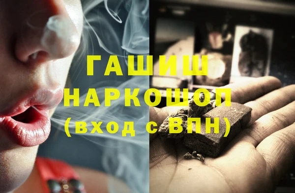 сатива Туринск