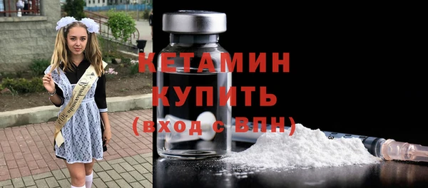 сатива Туринск