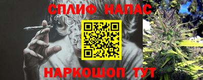прущие грибы Волжский