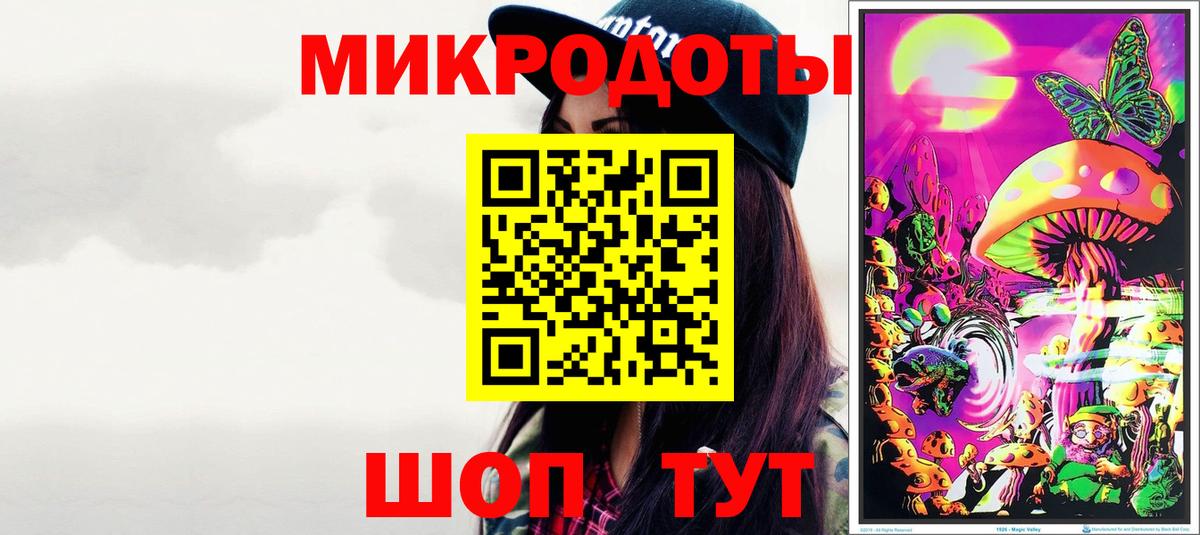 Галлюциногенные грибы Psilocybine cubensis Новокузнецк