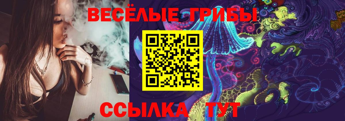 Новокузнецк  Псилоцибиновые грибы прущие грибы  Вход с VPN 